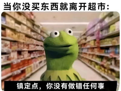 图片展示了科米蛙站在超市货架中间的场景，背景是两侧摆满商品的货架，整体呈现出超市内部的环境。图片上方有文字“当你没买东西就离开超市：”，下方有文字“镇定点，你没有做错任何事”。科米蛙面带微笑，表情淡定，通过这一形象和文字结合，幽默地描绘了人们没购物离开超市时可能产生的轻微焦虑心理，并用科米蛙的“内心独白”来自我安慰，展现了一种轻松自嘲的氛围。