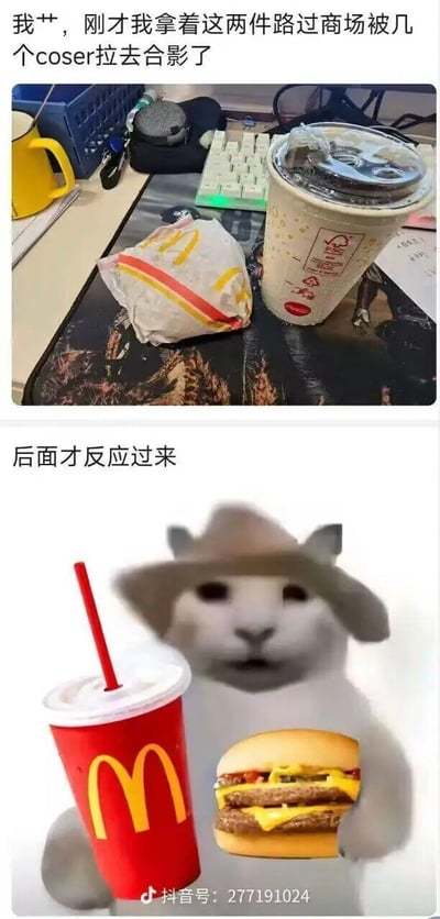 这是一组由两张图组成的搞笑梗图，记录了一个社死又好笑的瞬间：
1. 第一张为实拍图，展示了桌上的麦当劳包装汉堡与一杯非麦当劳品牌的饮料，配文描述了用户拿着这两样东西路过商场时，被coser拉去合影的经历；
2. 第二张是改编的网络meme图，将热门的“模糊戴帽猫”meme与麦当劳的饮料、汉堡合成，配文“后面才反应过来”。

笑点解析：用户手持的麦当劳汉堡+其他饮料的组合，意外与“手持麦当劳套餐”的meme形象撞款，被coser误认为是扮演该meme形象的cosplayer，事后才反应过来的反差感制造了搞笑效果。