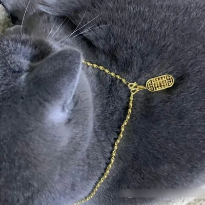 这张图片是一只灰色猫咪，身上佩戴着一条金色项链，项链上挂着带有中国风花纹的吊坠。猫咪毛发光滑，姿态安详，金链子的出现则让整个画面充满了一种“贵气”“有钱人/暴发户”的搞笑反差感。这类配饰通常在宠物身上并不常见，因此具有一定的幽默、反转意味。图片也暗含“宠物也要戴金链才时尚，有钱人连猫也不放过”的调侃和玩梗属性。无暗示、谐音梗。