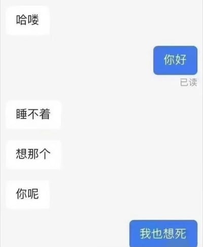 这是一张聊天记录截图，展示了一段深夜对话。左侧用户发送了"哈喽"、"睡不着"、"想那个"和"你呢"，右侧用户最初回复"你好"（显示已读状态），最后以"我也想死"作为回应，形成了一种黑色幽默的效果。