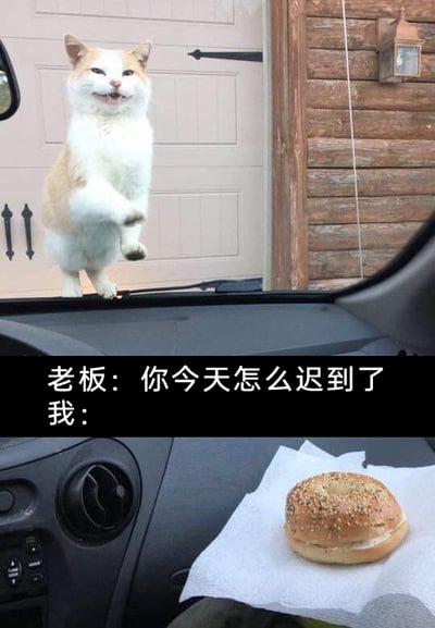 这是一张顶配底文的静态搞笑图文梗图，画面分为上下两部分，上半部分是一只白棕相间的猫咪站在汽车引擎盖上，它嘴角上扬，表情戏谑，抬起两只前爪，做出阻拦车辆前行的姿势；下半部分是汽车内部的视角，中控台上放着一张纸巾，上面摆着一个撒满谷物的贝果面包。图中配有职场相关的对话文字，老板问“你今天怎么迟到了”，“我：”的留白结合画面内容，潜台词是将这只拦路的猫作为迟到的搞笑借口，用生活化的趣味场景调侃职场中员工为迟到找借口的日常，充满轻松幽默的氛围，能引发职场人士的共鸣。