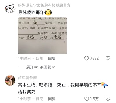 这是两张社交媒体评论区的截图，第一条评论由用户“妈妈说名字太长总有傻瓜跟着念”发布，分享了自己学生时代的化学作业填空错误，将火焰结构里的“焰心”误写成“宋焰”，配文调侃自己当年的“傻气”，该评论获得7832个赞和481条回复；第二条评论由用户“超绝薯条酱”发布，分享了同学在高中生物作业里的搞笑填空，将“靶细胞__死亡”（正确应为凋亡）的空填成“不幸”，引发趣味共鸣，获得1.5万赞。两条内容均是学生时期的作业糗事，充满了校园生活的搞笑氛围，容易让有类似经历的网友产生共鸣。