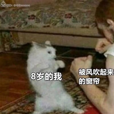这是一张文字加注的静态改编图，图中一只白色猫咪摆出警惕防御的害怕姿态，对面是一个人，分别用文字标注猫咪为“8岁的我”，标注人为“被风吹起来的窗帘”，生动还原了很多人童年时期会把被风吹动的窗帘当成可怕事物，从而产生恐惧的有趣经历，引发大众的童年共鸣，属于搞笑类的童年回忆梗图。