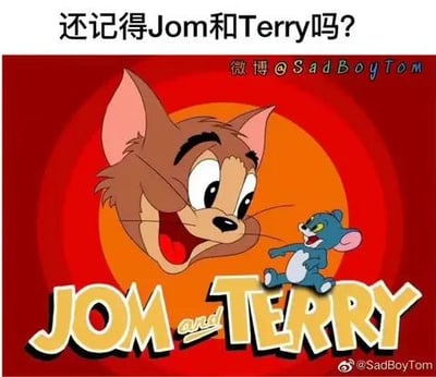 图片以经典动画《猫和老鼠》的角色为原型，将汤姆（Tom）恶搞改名为“Jom”，杰瑞（Jerry）改名为“Terry”，形成趣味错位梗。画面主体是棕色猫咪Jom的大笑头部特写（背景为红橙渐变圆形），旁边站着蓝色小老鼠Terry，下方配有醒目文字“JOM and TERRY”。顶部文字“还记得Jom和Terry吗？”引导观众回忆，通过名字的近似音恶搞制造幽默效果，勾起对童年动画的怀旧情绪。