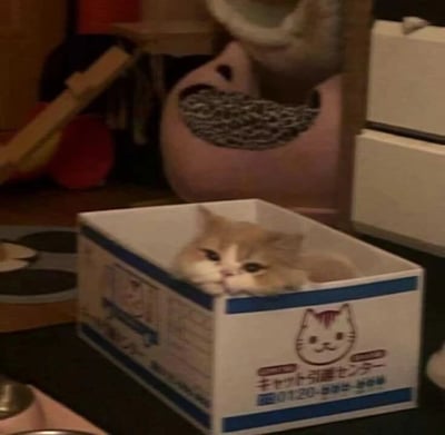 一只橘白相间的小猫咪正从一个白色带蓝色边框的纸箱中探出头来，毛茸茸的脸颊和圆溜溜的眼睛显得格外呆萌。纸箱侧面印有卡通猫咪图案和日文文字，背景中可见粉色的猫窝和散落的家居物品，整体呈现出温馨治愈的家庭氛围。