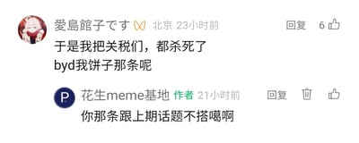 这是一张社交媒体评论区的截图，呈现了用户「愛島館子です」与创作者账号「花生meme基地」的互动对话。用户先是用玩梗的语气写下「于是我把关税们，都杀死了」，随后用口语化的表述询问自己关于「饼子」的投稿内容去向；账号作者回复表示该投稿内容和上期的话题不相关，因此没有采用。整个对话风格轻松随意，充满网络社区的交流氛围，其中用户使用了「byd」这类网络口语词，进一步体现了互动的非正式性。