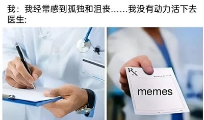 图片上方文字为“我：我经常感到孤独和沮丧……我没有动力活下去 医生:”，下方分为左右两张图。左侧图中一位穿着白大褂的医生正手持笔在病历本上书写，神情专注；右侧图中同一位医生手持一张处方单，上面清晰印着“memes”字样。通过幽默的方式暗示用网络迷因（memes）来缓解孤独沮丧情绪，以轻松的态度应对心理健康话题。
