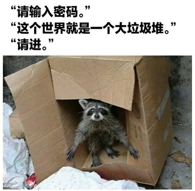 图片上方有三行文字：“请输入密码。”“这个世界就是一个大垃圾堆。”“请进。”，下方是一只浣熊坐在打开的纸箱中，周围散落着垃圾。文字与画面结合形成幽默效果，仿佛浣熊是守门人，而将“这个世界就是一个大垃圾堆”作为密码即可进入，带有讽刺和自嘲的意味。