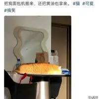 这是一张微博平台的社交媒体截图，图中一块放置在台面上的面包，借助后方的镜子形成视觉错位：面包下半部分与镜子里的台面区域重合，看起来仿佛面包正放在面包机中。配文“把我面包机搬来，还把黄油也拿来。#猫 #可爱 #搞笑”，顺着这个视觉错位的错觉进行调侃，制造出荒诞又搞笑的趣味效果，仿佛真的需要面包机来搭配这块“待加工”的面包。