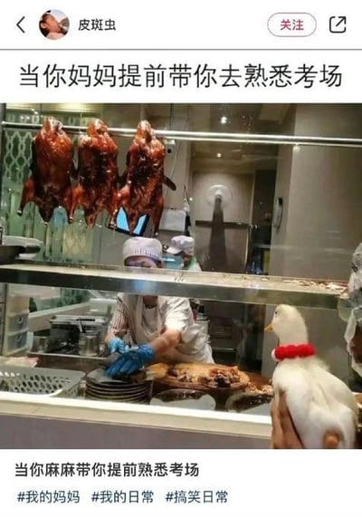 这是一张搞笑梗图，画面呈现了烤鸭店的场景：店内挂着三只烤好的烤鸭，柜台后的厨师正专注地处理鸭肉，柜台外一只戴着红色项圈的活鸭子被人举着，正看向店内。图中配有文字“当你妈妈提前带你去熟悉考场”以及重复的“当你麻麻带你提前熟悉考场”。这张图运用了双关梗，将烤鸭店调侃成这只活鸭子的“考场”，暗示它最终会变成挂着的烤鸭，用人类考前熟悉考场的日常场景来类比鸭子的命运，制造出荒诞又搞笑的效果。
