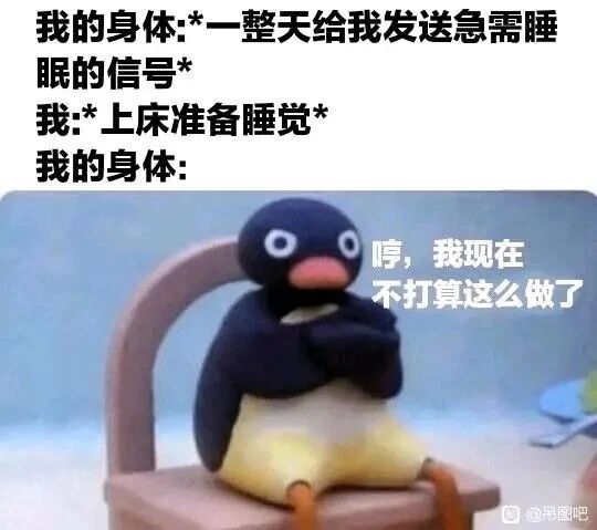 企鹅家族