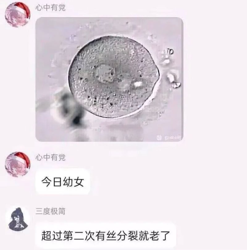网络社交平台用户
