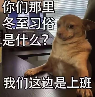 这张梗图以一只双爪搭在办公桌上的狗狗为画面主体，采用自问自答的配文形式：“你们那里冬至习俗是什么？我们这边是上班”，用幽默自嘲的方式，精准吐槽打工人在冬至节气仍需上班的无奈现状，戳中职场人的日常痛点。