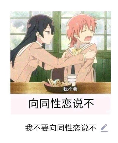 这是一张二次创作的梗图，上方是日本百合动画《终将成为你》的截图：黑长发的七海灯子抱住红头发的小糸侑，小糸侑面露抗拒、大张着嘴喊出“我不要”；截图下方配有文字“向同性恋说不”，最底部则是修改后的文字“我不要向同性恋说不”，通过反用原标语的方式形成强烈反差，表达了支持LGBTQ+群体、反对恐同的平权态度，用动画角色的拒绝场景来呼应拒绝恐同的立场。