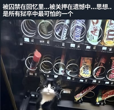 图片中一只黑白相间的猫被困在自动售货机内部，周围是各种零食如士力架、好时巧克力等。猫抬起头，表情看起来有些惊讶和无辜。图片上方有一段文字：'被囚禁在回忆里...被关押在遗撼中...思想...是所有狱卒中最可怕的一个'。这张图通过猫被困在自动售货机的视觉元素，与上方的文字形成隐喻关系，暗示人们被自己的思想、回忆和遗憾所困。