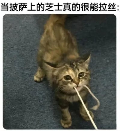 图片上方有文字“当披萨上的芝士真的很能拉丝:”，下方是一只虎斑色猫咪的照片。猫咪站在蓝色地毯上，嘴里叼着一根白色的绳子，绳子自然下垂，猫咪睁着圆溜溜的大眼睛抬头看向上方，表情呆萌。图片通过猫咪叼着绳子的画面，幽默类比披萨上能拉出很长丝的芝士，营造出搞笑可爱的效果。