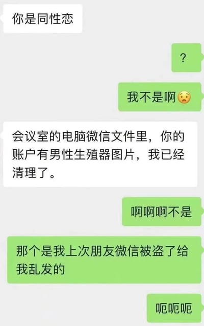这是一段充满尴尬情绪的微信聊天记录：一方直接质问另一方是同性恋，随后称在会议室电脑的微信文件中，发现对方账户存有男性生殖器图片并已清理；被质疑的一方急忙慌乱地解释，称该图片是朋友微信被盗后乱发的，整个对话呈现出一场典型的社交乌龙误会，氛围十分窘迫。