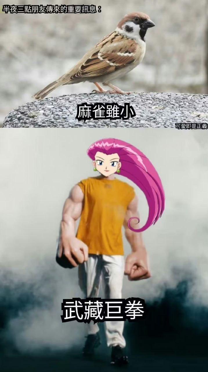 武藏