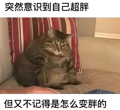 一张幽默的猫咪表情包，图片上方配有文字“突然意识到自己超胖”，下方配有文字“但又不记得是怎么变胖的”。中间是一只体型较胖的虎斑猫，正坐在带有红色条纹靠垫的椅子上，眼神中带着一丝惊讶和困惑，完美诠释了文字内容所表达的那种突然意识到自己体重问题却想不起原因的微妙情绪。