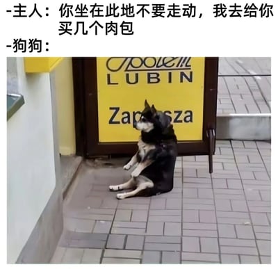 这是一张结合文学梗与视觉错位效果的搞笑图文内容，上方配文模仿朱自清经典散文《背影》的名台词，主人对狗狗说“你坐在此地不要走动，我去给你买几个肉包”；下方实拍图片里，一只黑棕相间的宠物狗端坐在带有外文的黄色店铺立牌前，因拍摄角度造成的视觉错位，狗狗的姿势看起来像是前爪抬起，仿佛正焦急张望等待主人，或是想要一同前去，和配文结合后，既还原了《背影》的场景感，又因宠物的可爱姿态和视觉错觉带来强烈的搞笑反差，生动有趣。