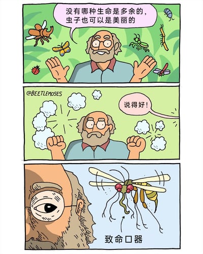 这是一幅三格连环卡通漫画，采用反转幽默的风格呈现内容。第一格中，一位戴眼镜的老年男性身处绿植背景中，周围飞舞着各种普通昆虫，他张开双手，语气温和地表达观点：“没有哪种生命是多余的，虫子也可以是美丽的”；第二格中，这位老人握紧双拳，情绪激动地给自己的话叫好，气泡文字为“说得好！”，画面左上角带有作者水印“@BEETLEMOSES”；第三格中，老人凑近观察一只特殊的昆虫，这只昆虫有着类似蚊子的细长肢体和显眼的致命口器，下方标注文字“致命口器”，瞬间打破了前两格中对昆虫的美好赞美，形成强烈的反差感，用搞笑的方式调侃了部分昆虫看似普通实则具有危险性的特点，制造出幽默的效果。