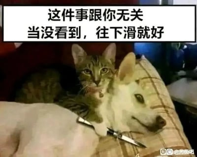 这是一张充满网络趣味的静态P图梗图，画面里一只狸花猫将前爪搭在一只浅色狗狗的身上，猫的爪子被编辑添加了一把小刀，配合猫直视镜头的严肃神态，营造出一种猫“挟持”了狗的搞笑错觉。图片上方配有醒目的文字“这件事跟你无关 当没看到，往下滑就好”，用夸张的画面和直白的文字结合，制造出一种假装发生了“秘密事件”、要求观看者不要过问直接划走的幽默效果，常用于社交平台调节氛围，或是用来调侃不想被他人干涉的私事，整体风格诙谐搞笑，符合网络梗图的趣味调性。