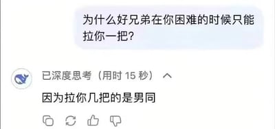 这是一张聊天记录截图，画面上方是一条提问：“为什么好兄弟在你困难的时候只能拉你一把？”，下方是标注了“已深度思考（用时15秒）”的回复：“因为拉你几把的是男同”。该回复利用了“几把”的双关含义，将正常语境下的“拉一把”的数量调侃成低俗的谐音，以此制造出荒诞搞笑的效果，属于网络上常见的低俗搞笑段子类型。