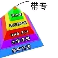这是一张讽刺学历的金字塔梗图，金字塔从下到上依次为蓝色的“高中文凭”、紫色的“大学文凭”、红色的“985 211”、橙色的“初中生毕业”、黄色的“高中生”，顶端绿色部分标注“带专”（网络 slang 指中专/技校）。通过颠倒常规学历层级，幽默调侃社会上对学历的某些扭曲看法。