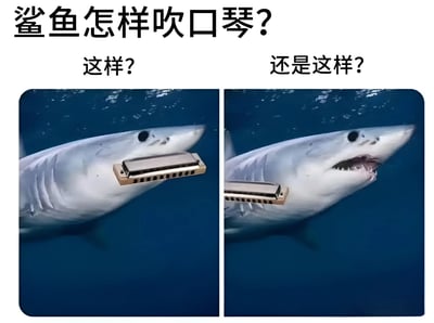 图片上方有黑色大字标题'鲨鱼怎样吹口琴?'，下方分为左右两格对比图。左图配文'这样?'，显示一只鲨鱼在蓝色海水中，嘴边被P上银色口琴，口琴紧贴吻部；右图配文'还是这样?'，鲨鱼嘴巴张开更大露出牙齿，口琴位置不变，形成吹口琴的两种滑稽姿势对比。通过拟人化创意和夸张对比制造幽默效果。