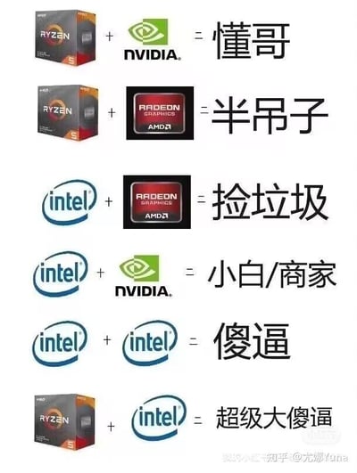 这是一张面向DIY装机爱好者的趣味梗图，通过图文混排的形式，将不同品牌的CPU与显卡/核显进行组合，并搭配带有调侃性质的标签，对选择不同组合的玩家进行趣味化归类：
1. AMD锐龙CPU + NVIDIA显卡 = 懂哥：指这类玩家被认为是熟悉硬件、懂搭配的圈内人
2. AMD锐龙CPU + AMD Radeon显卡 = 半吊子：调侃这类玩家对硬件的了解不算精通，选择了AMD全家桶但被认为不够懂行
3. 英特尔CPU + AMD Radeon显卡 = 捡垃圾：暗指这类组合多是性价比极高的二手或老旧硬件搭配，像是“捡垃圾”凑出来的低成本配置
4. 英特尔CPU + NVIDIA显卡 = 小白/商家：小白指刚接触硬件的新手，商家则是指这类组合是商家主推的大众向配置
5. 英特尔CPU + 英特尔核显 = 傻逼：用极端调侃的语气吐槽选择这种性能孱弱、仅能满足基础需求的纯核显组合的用户
6. AMD锐龙CPU + 英特尔CPU = 超级大傻逼：调侃这种完全不合理的硬件搭配，属于完全不懂硬件的错误选择