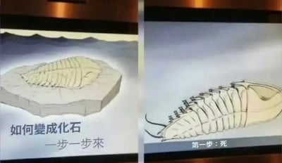 左右对比的图文梗图，左侧画面展示一块带有化石纹路的石板，下方配有文字“如何变成化石 — 一步一步来”；右侧画面则是更细致的生物（疑似三叶虫）插画，下方标注“第一步：死”。通过将复杂的化石形成过程简化为直白的第一步，形成幽默调侃的效果，兼具科普趣味性与网络梗图的轻松风格。