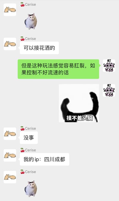 这是一张聊天记录截图，展示了用户Cerise与另一位用户的对话。对话内容围绕"接花洒的玩法"展开，其中一位用户调侃这种玩法"容易肛裂，如果控制不好流速的话"，Cerise则回应"没事"并分享了自己的IP地址显示为四川成都。图中还包含一个"摸不着头脑"的表情包和几个小章鱼"盯"的表情图案，整体氛围轻松搞笑。