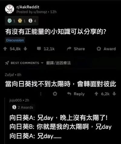 这是一张Reddit平台r/AskReddit社区的帖子截图，标题为“有没有正能量的小知识可以分享的？”，帖子获得54.8k点赞和12.1k评论。热门评论中，用户Zafjai分享“当向日葵找不到太阳时，会转面对彼此”的暖心小知识，获6.2k点赞；用户juju005则以拟人化对话调侃：“向日葵A：兄day，晚上没有太阳了！向日葵B：你就是我的太阳啊，兄day 向日葵A：兄day......”，用“兄day”（谐音“兄弟”）制造幽默效果。整体氛围温暖又带点搞笑，传递正能量的同时引发轻松互动。