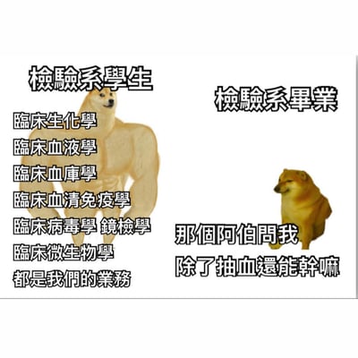 这是一张左右对比的梗图，左侧是肌肉发达的Doge狗形象，上方标注“检验系学生”，下方列出“临床生化学、临床血液学、临床血库学、临床血清免疫学、临床病毒学 镜检学、临床微生物学”等多门专业课程，并配文“都是我们的业务”，展现学生时期需要掌握的丰富知识；右侧是体型瘦小、表情萎靡的Doge狗形象，上方标注“检验系毕业”，下方配文“那个阿伯问我 除了抽血还能干嘛”，幽默对比了检验系学生在校学习内容的广泛性与毕业后公众对其职业“仅会抽血”的刻板印象，反映出职业认知落差的无奈与自嘲。