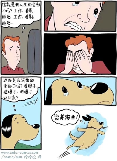 这是一幅四格连环对比漫画，分为上下两个部分，展现了人类与狗狗面对重复生活的截然不同的态度。上半部分的红头发卡通男人，坐在沙发旁，神情低落，内心产生自我怀疑，疑惑自己的人生是否只剩下工作、看剧、睡觉的单调循环，随后他崩溃流泪，双手捂脸，表现出对这种重复乏味生活的倦怠与迷茫。下半部分的卡通狗狗，看着面前的棍子，一开始也疑惑自己的狗生是否只有看棍子、捡棍子、叼回棍子的循环，随后也流下眼泪，但紧接着它就开心地叼着棍子跃起，内心高呼“完美狗生！”，将简单的重复生活视为极致的快乐。漫画通过这种强烈的反差，用幽默的方式讽刺了当代人对单调生活的焦虑，同时也传递出简单生活也能带来满足感的感悟。