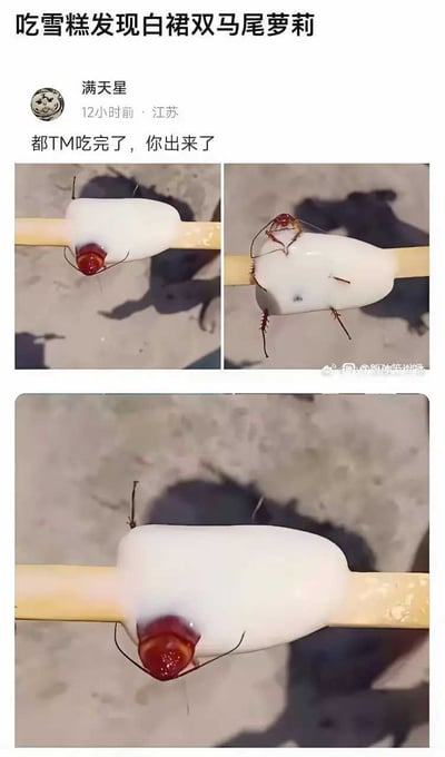 这张梗图以微博段子的格式展现，一开始以为雪糕里藏着什么有趣的东西（标题调侃为“白裙双马尾萝莉”），实际却揭露出雪糕中隐藏了一只蟑螂，非常恶心和出乎意料。梗图表达的是‘期待和现实’的巨大反差，利用夸张的网络话语和视觉反转，制造出荒谬搞笑又令人崩溃的效果。

**暗示与双关**： 标题中的“白裙双马尾萝莉”其实是网络流行用语，常用来调侃意外发现好东西（实际上是乱用，雪糕外观像白裙），但这里实际是发现了昆虫，形成极大反差。整体属于“引发生理不适+网络幽默”的典型表情包。