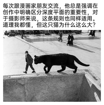 这是一张利用拍摄角度制造视觉错位效果的黑白静态照片。拍摄者从高处取景，让前景矮墙处的黑猫与远处广场地面上的行人处于同一视觉平面，使得黑猫看起来体型巨大，仿佛和行人并肩行走在矮墙上。图片上方配有一段文字，提到创作中区分深度平面的重要性，同时以疑惑的语气表达被这个视觉错觉“欺骗”的趣味感受，既点出了摄影中空间透视的原理，又凸显了这张错位照片的奇妙创意。