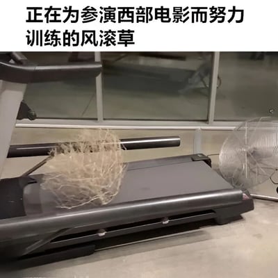 图片展示了一株风滚草被放置在跑步机上，旁边有一个风扇对着它吹风，仿佛在进行跑步训练。图片上方配有文字“正在为参演西部电影而努力训练的风滚草”，通过拟人化的手法，将风滚草这一在西部电影中常见的自然元素赋予了人类的行为动机，营造出幽默搞笑的效果。风滚草在现实中常随风滚动，而图中被设计成主动在跑步机上“训练”，与风扇配合模拟自然环境，形成了有趣的反差萌。