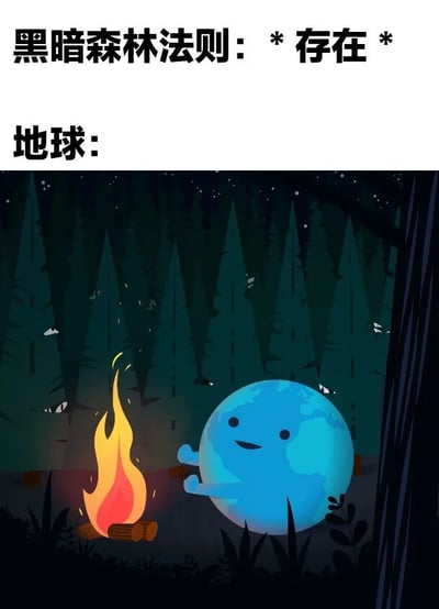 这张梗图以刘慈欣科幻小说《三体》中的"黑暗森林法则"为主题，上方文字写着"黑暗森林法则：* 存在 * 地球："，下方是一幅卡通插画。画面中，拟人化的蓝色地球带着微笑，在漆黑的森林里生起了一堆明亮的篝火，周围有高大的树木和夜空中的星星。这个构图幽默地表现了地球文明在宇宙这个"黑暗森林"中主动暴露自身存在的行为，与黑暗森林法则中"隐藏自己，做好清理"的核心思想形成鲜明对比，产生了有趣的反差萌效果。
