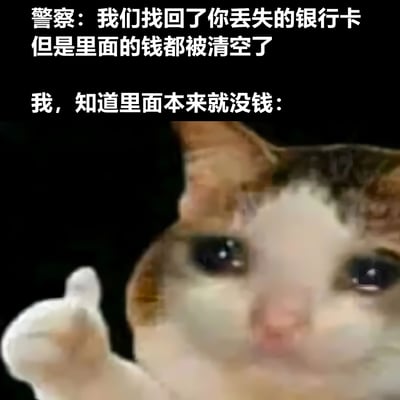 这是一张幽默meme图片，上方文字显示警察告知找回了丢失的银行卡但里面的钱已被清空，中间文字表示"我"知道卡里本来就没钱，下方是一只表情严肃并竖起大拇指的猫。通过反差制造笑点，反映了年轻人经济状况的自嘲。