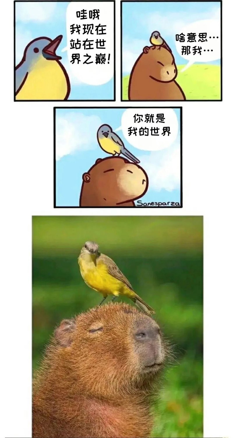 小鸟