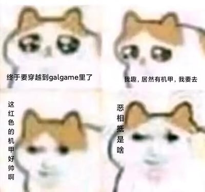 这是一张四格连环梗图，使用了网络热门的流泪猫猫头表情包作为模板，通过四格画面的情绪和文字变化，构建了一个情绪反转的故事：第一格猫猫头眼神期待，配文“终于要穿越到galgame里了”，表现出对美少女恋爱游戏世界的向往；第二格猫猫头兴奋起来，配文“我趣,居然有机甲,我要去”，表现出对机甲元素的惊喜；第三格猫猫头露出花痴神态，配文“这红色的机甲好帅啊”，满是对红色机甲的喜爱；第四格猫猫头瞬间变脸，配文“恶相抵是啥”，这是“这到底是啥”的谐音口胡，表现出角色发现元素违和后的错愕与崩溃。整个梗图通过恋爱游戏与热血机甲的元素混搭反差，制造出搞笑效果，其中“恶相抵是啥”使用了谐音梗。