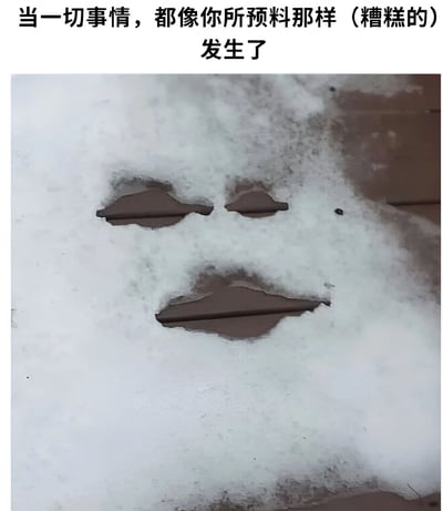 图片上方配有文字'当一切事情，都像你所预料那样（糟糕的）发生了'，下方是一张雪景照片，雪地上的裸露区域恰好形成了类似人脸的形状，表情看起来无奈又认命，仿佛在生动展现当所有糟糕的预测都一一应验时的心情。
