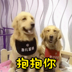 金毛狗狗拥抱安慰的暖心动图