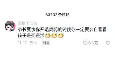社交媒体评论截图，显示用户"愿栖于蓝桉"发布的一条幽默评论："家长要求你开退烧药的时候你一定要亲自看看孩子是死是活😂😂😂"。该评论发布于11月17日吉林，获得6.6万点赞，处于一个有63202条评论的讨论区中。评论使用夸张幽默的方式表达了对某些家长过度要求的调侃。