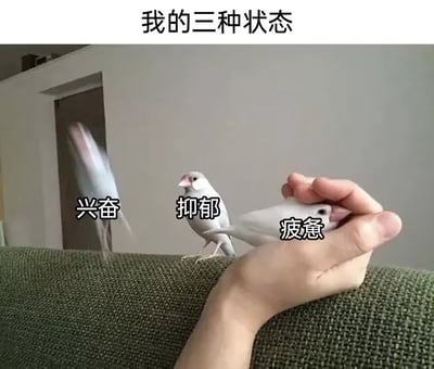 这是一张调侃现代人情绪状态的趣味梗图，图片顶部标注标题“我的三种状态”，图中绿色沙发靠背上有三只白色文鸟，分别对应三种常见情绪：最左侧的文鸟因快速移动呈现模糊状态，标注为“兴奋”；中间的文鸟安静站着，神态麻木，标注为“抑郁”；最右侧的文鸟被真人的手握住头部动弹不得，标注为“疲惫”，用不同状态的鸟生动对应了现代人日常的三种情绪状态，容易引发大众共鸣。