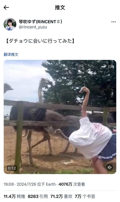 这是推特用户琴吹ゆず发布的一段搞笑视频截图，画面中一位女生弯腰靠近围栏，头部恰好与围栏内的鸵鸟头部重合，形成了“女生的脖子是鸵鸟长脖子”的视觉错位效果，仿佛女生的身体和鸵鸟的脖子拼接在一起，荒诞又搞笑。推文的日文标题意为“试着去见鸵鸟了”，该视频获得了超4000万次查看，以及大量转推和点赞。