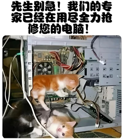 图片上方有黑色加粗文字“先生别急！我们的专家已经在用尽全力抢修您的电脑！”，下方是一张实拍图：几只小猫正在一台打开的电脑主机内部和周围活动，橘白相间的小猫站在主板上，黑白相间的小猫在旁边，看起来像是在“修理”电脑。通过将小猫拟人化为“专家”来制造幽默效果，形成一种反差萌的喜剧感。