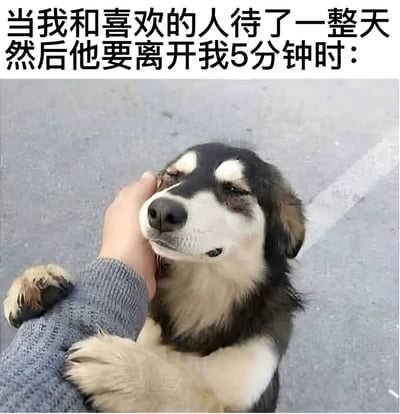 图片上方有黑色加粗文字：'当我和喜欢的人待了一整天然后他要离开我5分钟时：'，下方是一只黑白毛色的狗被人用手抚摸脸部的照片。狗狗闭着眼睛，表情放松享受，前爪微微抬起，身体向抚摸者倾斜，整体画面通过可爱的狗狗形象幽默地表达了对亲近之人短暂分离的不舍情绪。