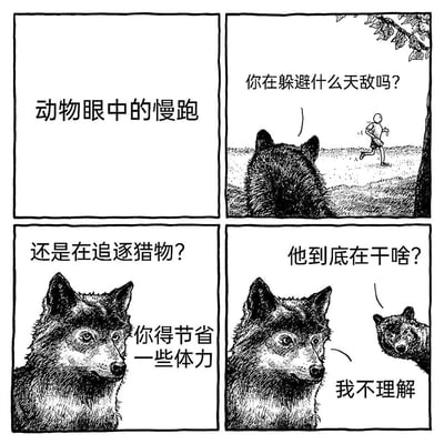 这是一幅黑白四格连环漫画，以狼的视角切入，展现动物对人类日常健身行为的不解。第一格中，一只狼望着正在户外慢跑的人类，发出“你在躲避什么天敌吗？”的疑问；第二格中，这只狼正面出镜，继续以动物的生存逻辑猜测“还是在追逐猎物？你得节省一些体力”；第三格中，另一只狼加入，困惑地问“他到底在干啥？”；第四格中，最初的狼直白表示“我不理解”，另一只狼也露出疑惑的神情。漫画通过动物的生存本能逻辑，与人类为了健康而无目的慢跑的行为形成反差，制造出幽默的效果，调侃了人类的日常健身行为在动物眼中的“不可理喻”。